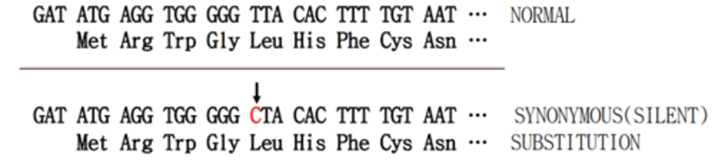 <p>write the abbreviation at the genome level</p>