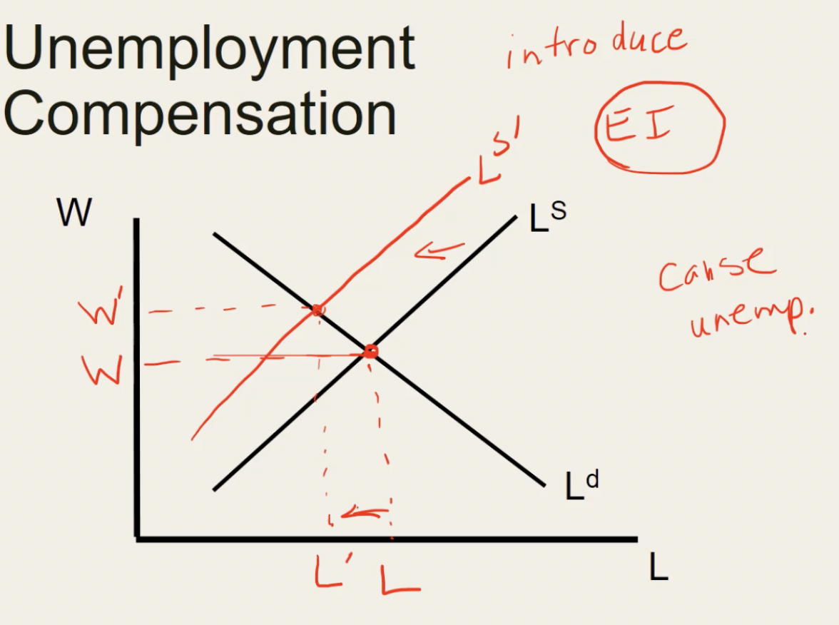 <p><span>↑OC going to work </span></p><p><span>= workers want ↑W to justify entering LM </span></p><p><span>= Ls shift ←</span></p><p><span> = </span><span><span>↓# ppl workering</span></span></p><p><span><span>= ↓L </span></span></p><p><span><span>= unemp</span></span></p>