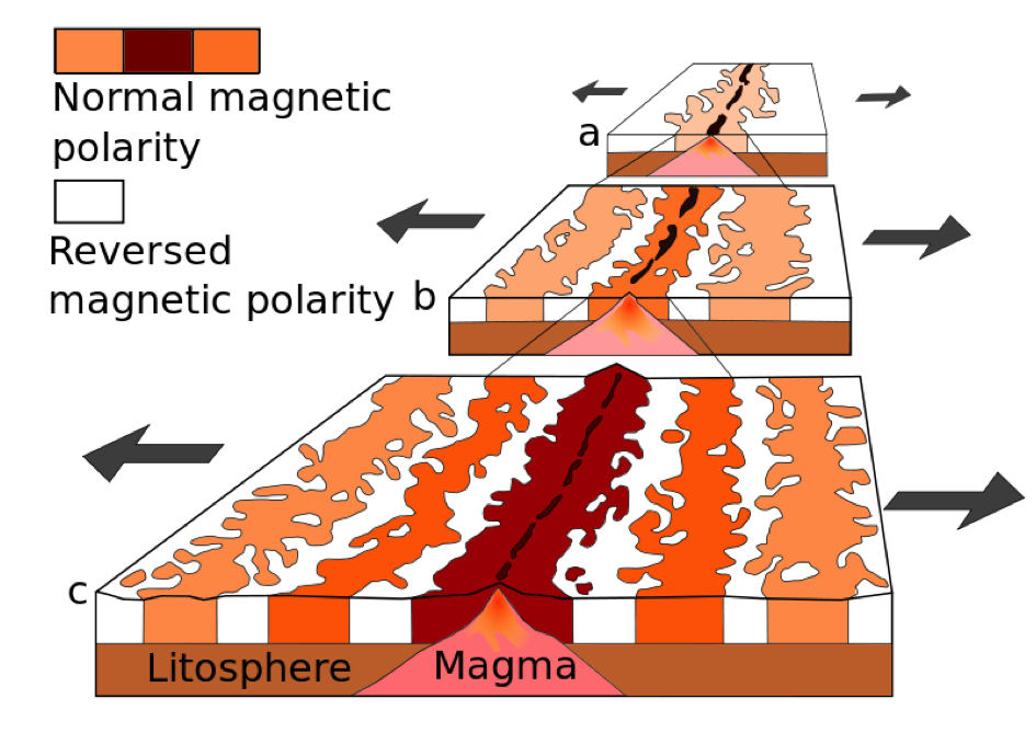 <ul><li><p>the zebra-like pattern where</p><ul><li><p>there’s strips of normal polarity rocks&nbsp;</p><ul><li><p>alternating alongside strips of reversed polarity rocks on the seafloor</p></li></ul></li><li><p>it’s symmetrical on both sides of the</p><ul><li><p>mid-ocean ridge</p></li></ul></li></ul></li></ul><p></p><p><span>∴ </span>stripes of rock on the seafloor with alternating magnetic properties</p><p>occurs on</p>