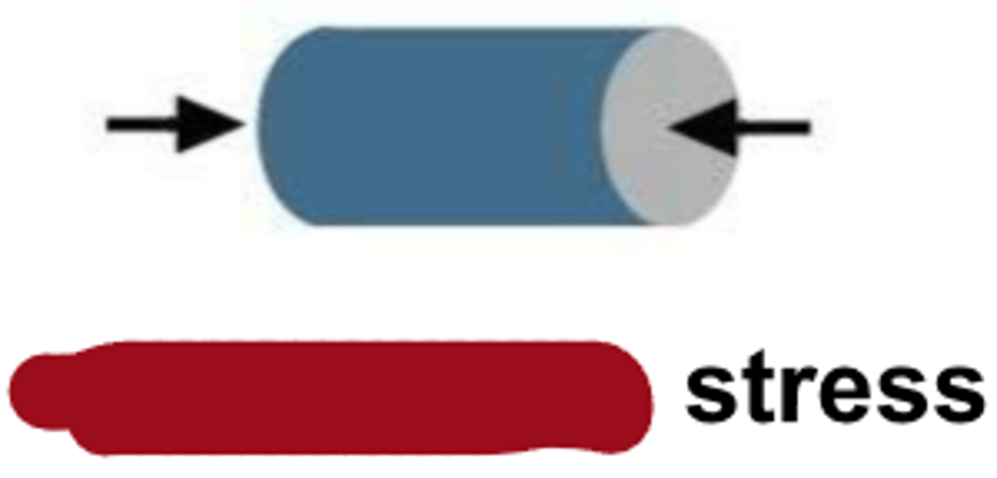<p>type of stress?</p>