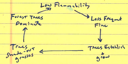 <p>What does this drawing represent?</p>