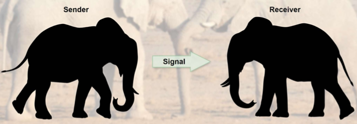 <p>The process of exchanging information through scent, sound, visual displays, and more.</p>