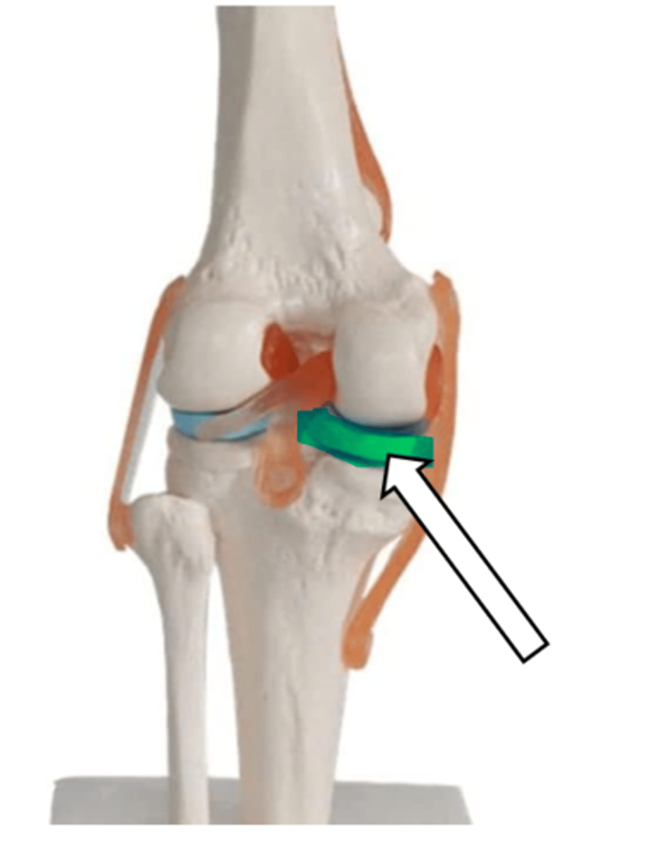 <p>name the articulation/joint</p>