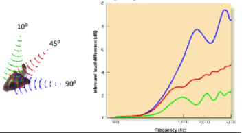 <p>The difference in sound level reaching each ear.</p><ul><li><p>The difference between the two sounds in the ear</p><ul><li><p>Your head tends to <strong>absorb</strong> or <strong>reflect high frequencies</strong></p><ul><li><p>Treble</p></li><li><p>Doesn’t travel to the other side so the other ear can’t hear it</p></li></ul></li><li><p>Your head tends to <strong>let lower frequencies pass through</strong></p><ul><li><p><span style="color: green">Example</span>: hearing loud music playing in the room upstairs - What’s making it down here are the bases /low sounds. Low frequencies are able to travel through your head</p></li></ul></li></ul></li></ul><p></p>