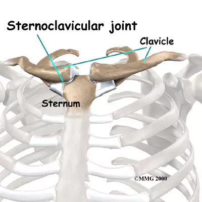 <p>where sternum +clavicle join up</p>