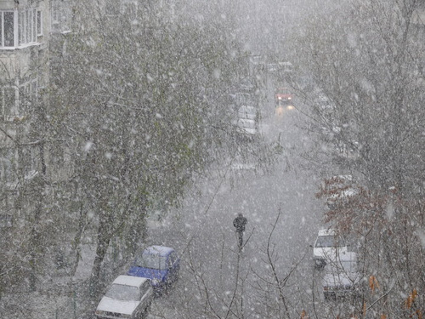 <p>il neige</p>