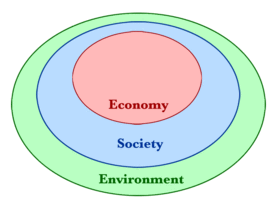 <p>a subfield of economics that addresses the relationship between ecological and economic systems, focusing on sustainability and the valuation of natural resources. </p>