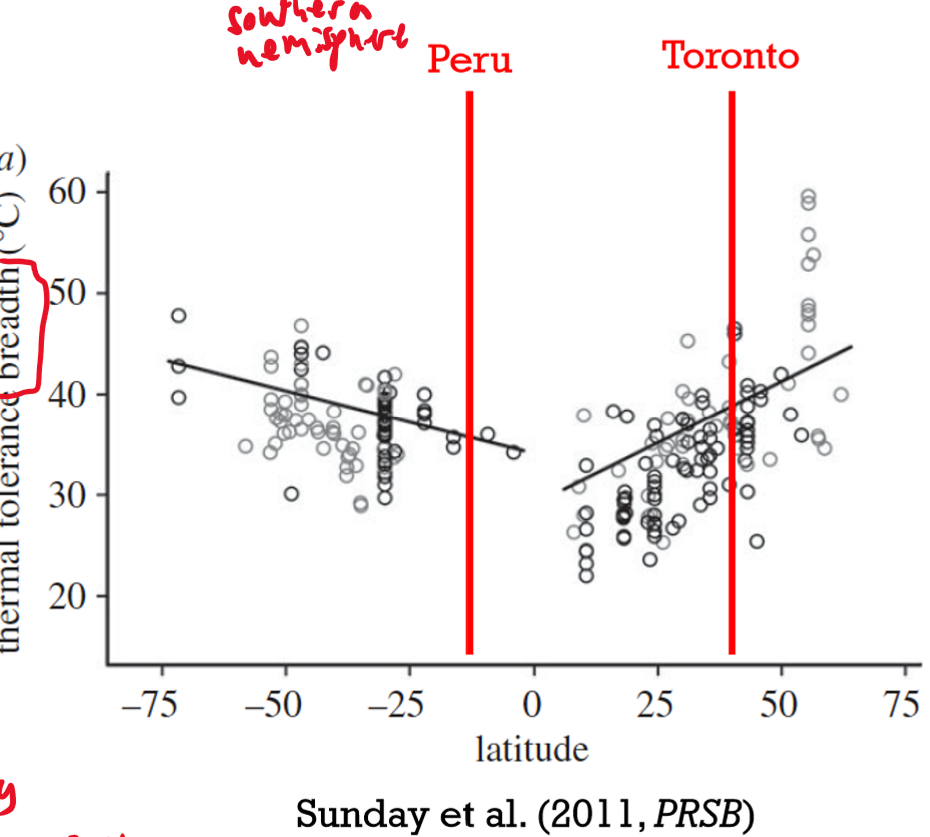 <p>Looked at the tolerance limit of animal temperature for arthropods, reptiles, amphibians from different latitudes</p><p>Measured critical temperatures (loss of motor function)</p><p>Found that animals near poles have lower critical temperatures near poles than equator</p>