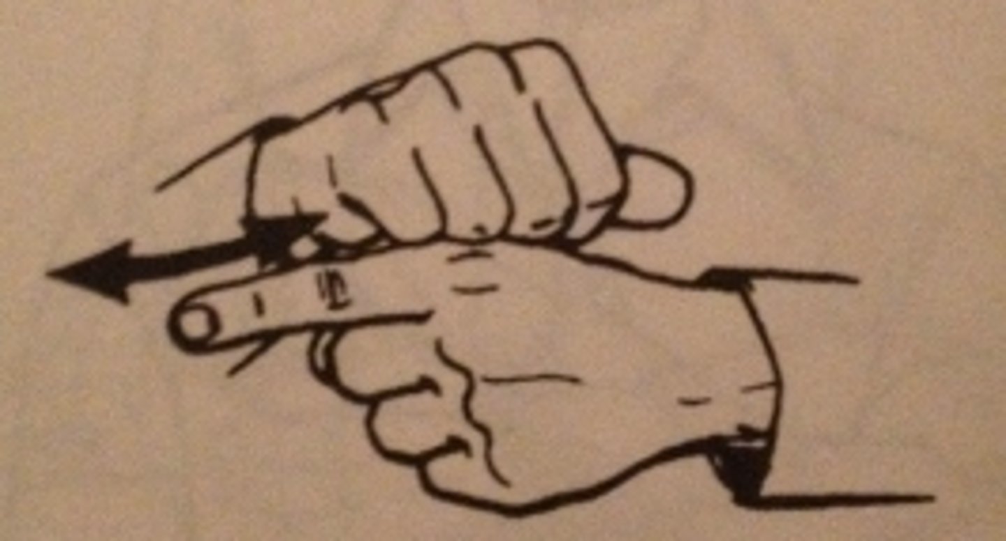 knowt flashcard image