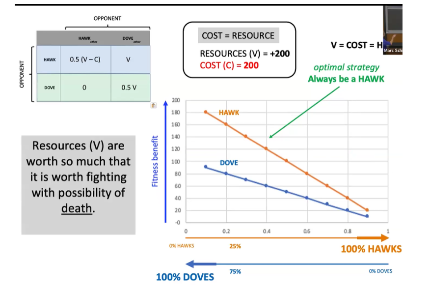<p>hawk and dove are not species of animals, are representative of behaviors&nbsp;</p><ul><li><p><span style="background-color: transparent;">Version of game theory&nbsp;</span></p></li><li><p><span style="background-color: transparent;">Territory defense and fighting are costly in terms of time, energy and risk of injury or predation&nbsp;</span></p><ul><li><p><span style="background-color: transparent;">Injury is costly&nbsp;</span></p></li></ul></li><li><p><span style="background-color: transparent;">Best strategy between being an aggressive fighter or being submissive/sharing&nbsp;</span></p><ul><li><p><span style="background-color: transparent;">Animals can change strategy based on the situation&nbsp;</span></p></li></ul></li><li><p><span style="background-color: transparent;">Used to protect resources, and based on what others are doing in the population</span></p><ul><li><p><span style="background-color: transparent;">Ex. predators eat all of the morphs that are most frequent in the population, then second most frequent etc.&nbsp;</span></p></li></ul></li></ul><ul><li><p><span style="background-color: transparent;">Hawk always fights and may injure opponents, they also run the risk of injuring themselves&nbsp;</span></p></li><li><p><span style="background-color: transparent;">Doves never fight&nbsp;</span></p><ul><li><p><span style="background-color: transparent;">What is the optimal strategy in the population?&nbsp;</span></p></li></ul></li></ul><p></p><p><br><span style="background-color: transparent;">In this population, the stable strategy is not to be a hawk because there is a possibility of me losing against another hawk&nbsp;</span></p><ul><li><p><span style="background-color: transparent;">Could also be fitness benefits such as access to a mate&nbsp;Changes the relationships between when it is beneficial to be a hawk and when it is beneficial to be a dove</span></p></li><li><p><span style="background-color: transparent;">Given cost and resource/value numbers to plug into the equation and find then when the system is at equilibrium&nbsp;</span></p></li><li><p><span style="background-color: transparent;">Being a hawk or dove is not a fixed trait</span></p></li></ul><p>*<span style="background-color: transparent;">Instead of finding f at equilibrium can also calculate over the range to see the comparison for different percentages of either hawk or dove behavior&nbsp;</span></p><p><br></p><ul><li><p><span style="background-color: transparent;">Equilibrium point indicated is where everyone benefits the most&nbsp;</span></p></li><li><p><span style="background-color: transparent;">If there are very few doves in the area but several hawks,&nbsp;</span></p><ul><li><p><span style="background-color: transparent;">Advantageous to be a dove because hawks will infight&nbsp;</span></p></li><li><p><span style="background-color: transparent;">Even if I get resources taken, I don’t incur a cost&nbsp;</span></p></li></ul></li><li><p><span style="background-color: transparent;">If there are many doves but few hawks it is beneficial to be a hawk because i only encounter doves from whom I can easily steal resources</span></p></li><li><p><span style="background-color: transparent;">These scenarios are rare because animal would convert their behavior to the advantageous type until it is no longer advantageous&nbsp;</span></p><ul><li><p><span style="background-color: transparent;">Top of the y axis is the fitness benefit and the bottom is the fitness cost&nbsp;</span></p></li></ul></li><li><p><span style="background-color: transparent;">Balance can be shifted based on the value of the resource in the context and the value of the cost in the context&nbsp;</span></p></li><li><p></p></li></ul><p></p>