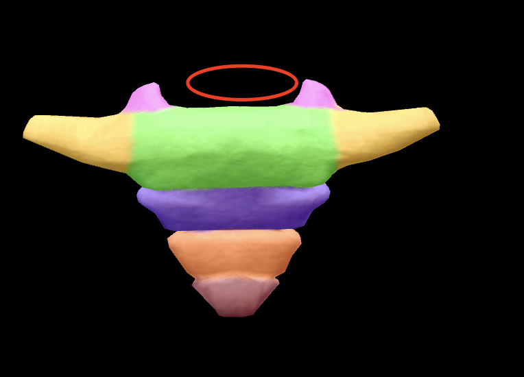 <p>What is this structure called?</p>