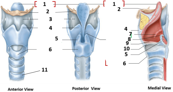 <p>4</p>