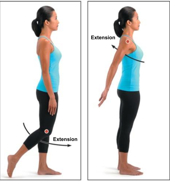 <p>Extension</p>
