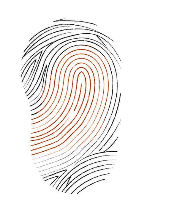 <p>Loop print</p>