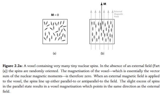 <p><span style="color: rgb(0, 0, 0);">spins will constantly be making the transition between the two states, but, at any time the lower energy state will be more heavily populated. This excess of spins in the low-energy (parallel) state means that there will be a net magnetisation in the direction of the applied field. That is, the result of adding up the magnetic moment vectors for all of the tiny spins in the voxel will not be zero: rather, it will give a magnetisation for the voxel which points in the same direction as the external field.<br>We should point out here that in practice the excess of spins in the parallel state is very small: for typical MRI operating conditions it corresponds to only about five spins in every million. </span></p><p><span style="color: rgb(0, 0, 0);"> excess spins generate the MRI signal, and so it is the smallness of this factor which results in the generation of extremely weak signals which must be detected in MRI.</span></p>