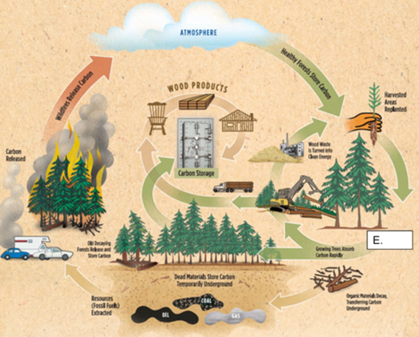 <p>Maintaining all species in as close to a natural state as possible</p>