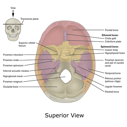 <p>C. Lỗ tròn </p>