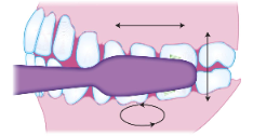 <p><span><strong>• Combination of horizontal, vertical, and circular strokes</strong></span></p><p><span><strong>• Incorporates vibration movements in certain areas</strong></span></p><p><span><strong>• Not an appropriate method</strong></span></p>