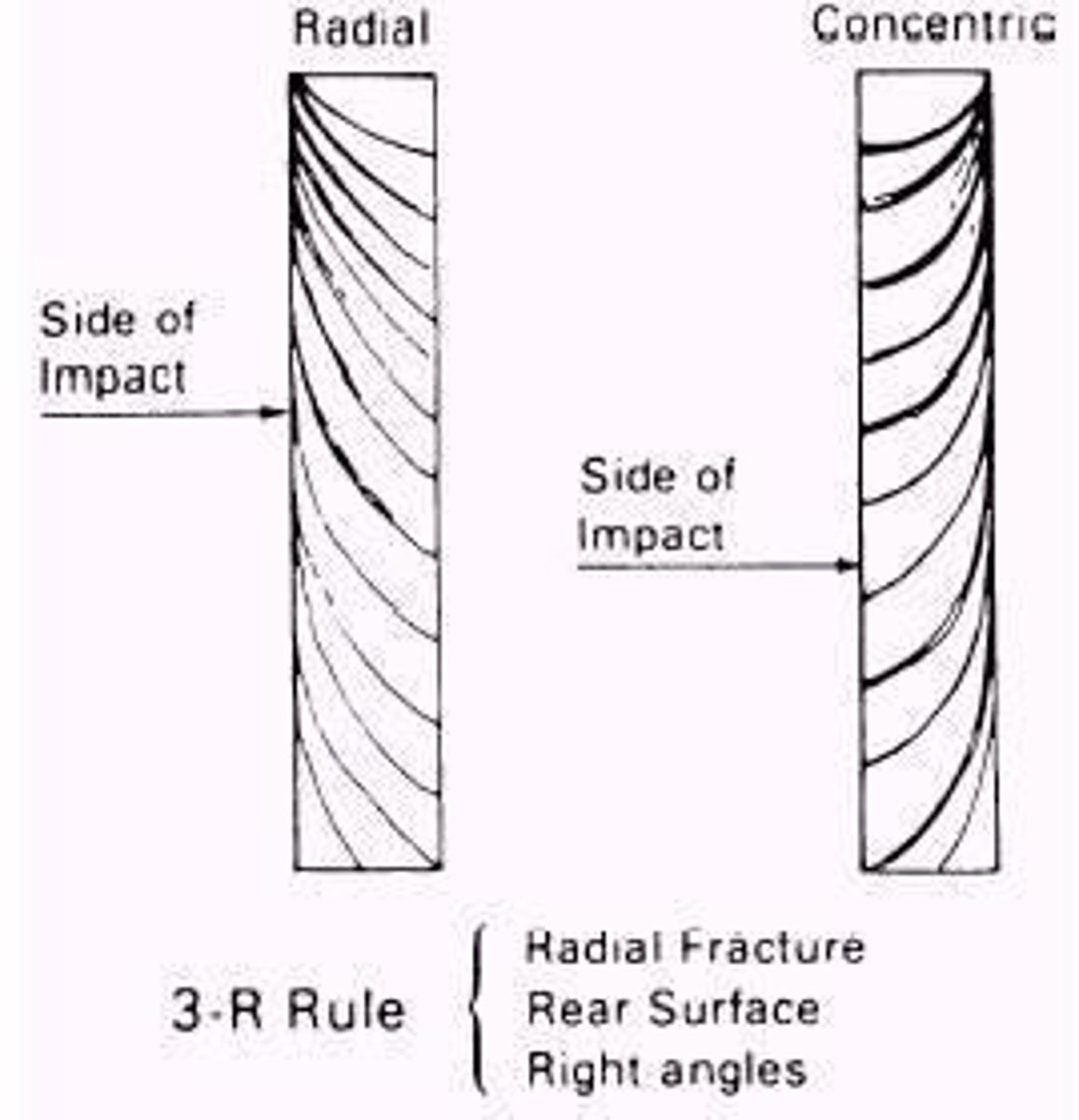 <p>Radial cracks form right angles on the rear side of the impact.</p>