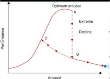 <p>optimum arousal then significant decrease in performance</p>