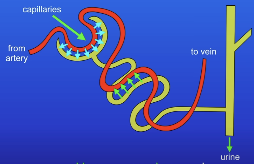 <p>Explain this diagram</p>