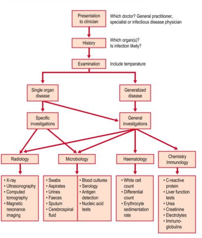 <p>Can you label, describe and explain what this diagram is/shows?</p>