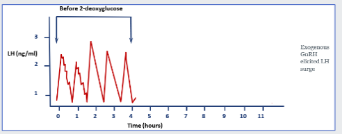 <p>blood glucose and fatty acid concentrations</p>