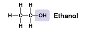 <p>OH</p><p>compound name: alcohol </p><p>ex) Ethanol </p><p>polar- oxygen has strong electronegativity. dissolves in water </p>