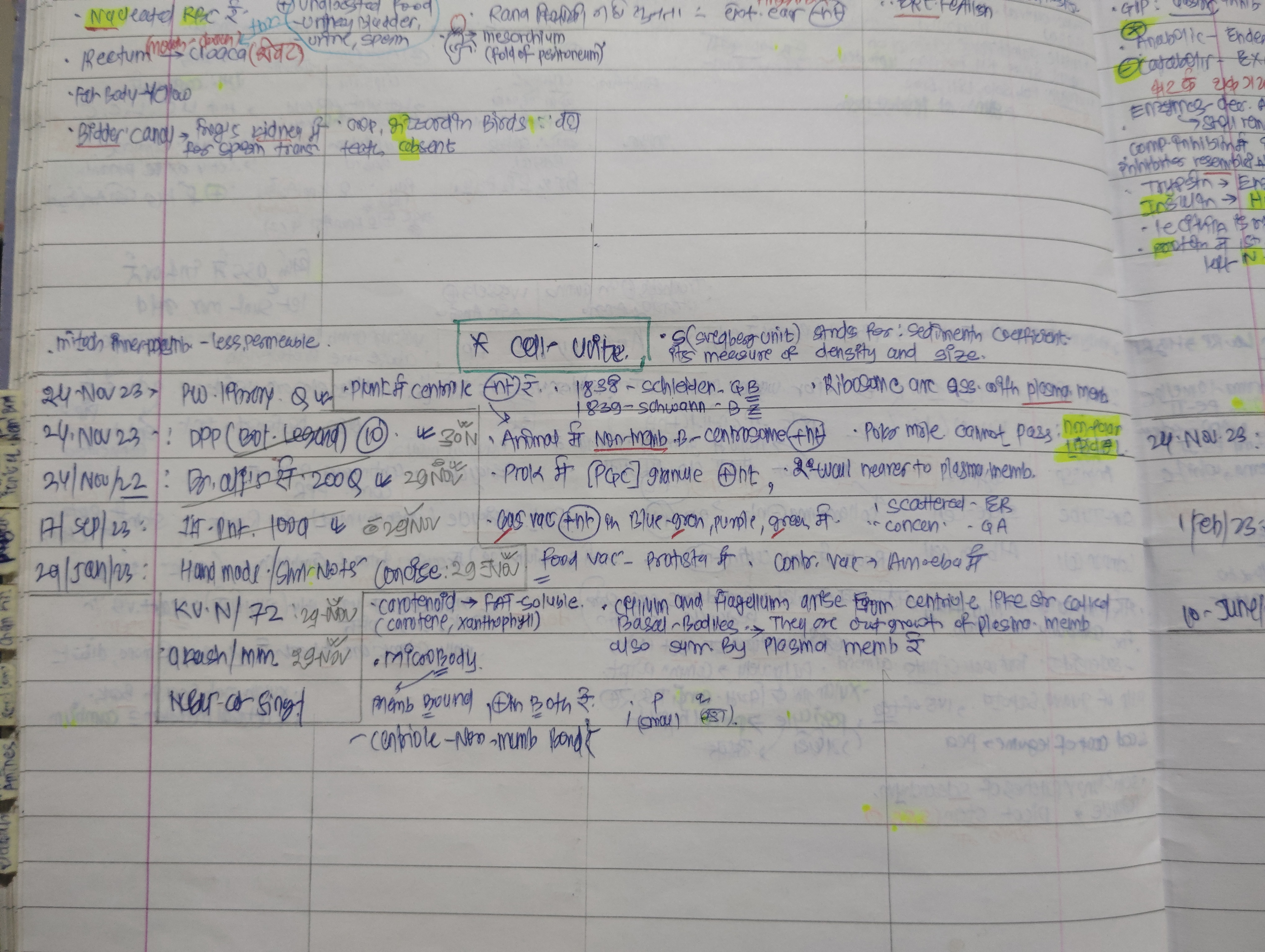 knowt flashcard image