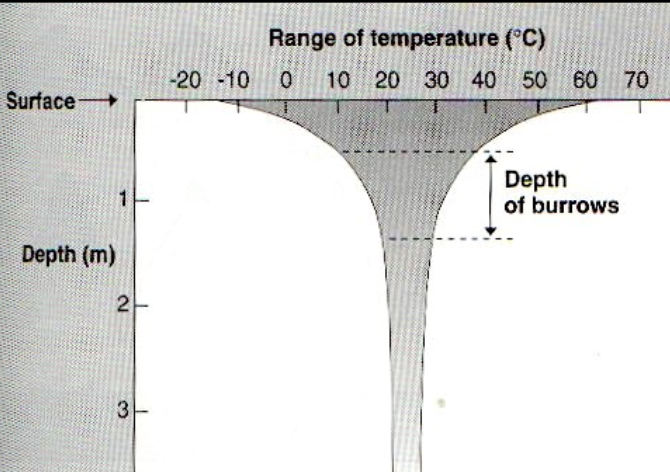 <p>what does this graph show?</p>