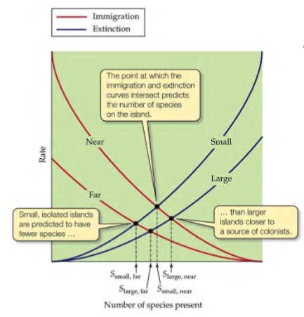 <p>derived from island biogeography theory</p><p>the # of spp in a fragment depends on size of fragment and distance of the fragment to a large contiguous forest source</p><p>e.g. documented in Brazil: fragments of different sizes and distance from sources had differences in spp abundance and composition</p>