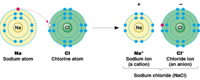 ionic compounds