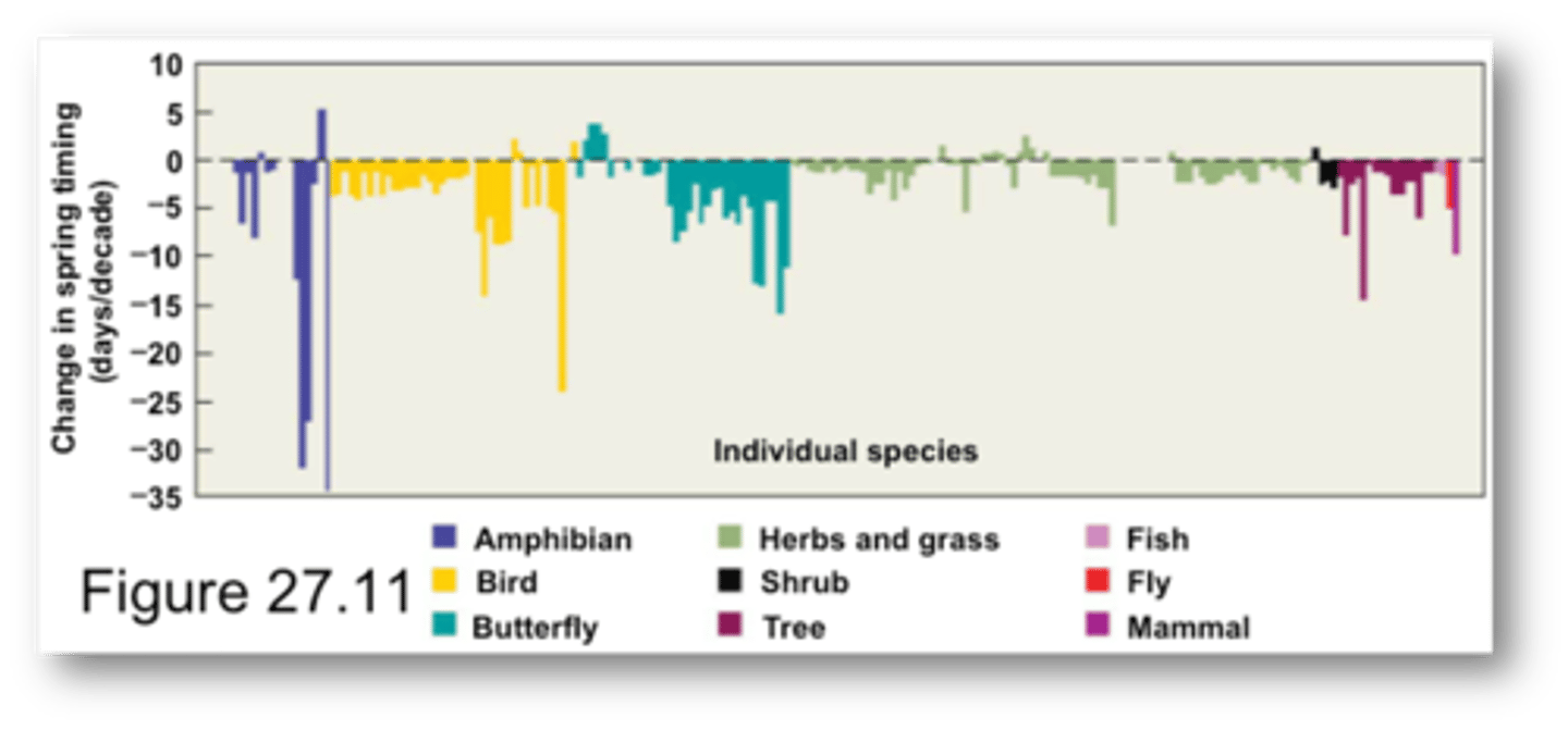 <p>RESULTS:</p><p>- 203 plant and animal species inhabiting the northern hemisphere</p><p>- overall shifts are larger at higher latitudes</p><p>-----------------</p><p>WHAT DOES THE GRAPH SHOW?</p><p>- shows the idea of phenology in at the different seasonal change</p><p>-----------------</p><p>WHICH TAXONOMIC GROUPS HAVE BEEN IMPACTED AND WHAT PROBLEMS MAY ARISE?</p><p>- amphibians (function of plant dispersal and seed dispersal</p>