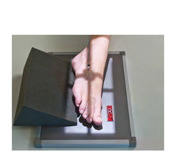 <p>Position: ?</p><p>Projection: ?</p>