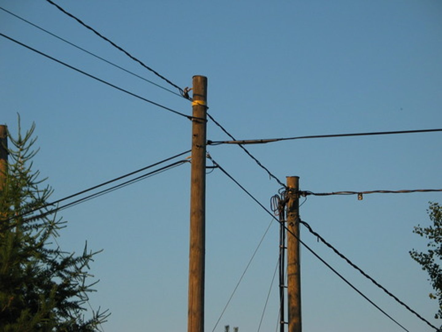 <p>(n. [C]) 桿；柱子</p>