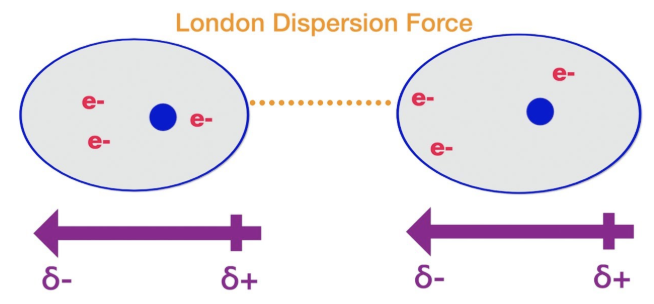 <p>Organic molecules that contain only carbon and hydrogen (hydrocarbons) are weakly attracted to each other by London Dispersion forces</p><p>Increase as molecular size increases</p><p>The larger the molecule, the greater the attractive force for neighboring molecules and the greater the energy required to get two molecules to move apart</p><p>Temporary</p><p>Occur due to random movement of electrons</p><p>Strength increases with size, surface area, and number of electrons</p><p>Organic hydrocarbons</p>