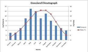 <p>the <span>bars to measure precipitation levels by month and plotted lines to denote </span><strong>average temperatures at different times of the year. </strong></p>