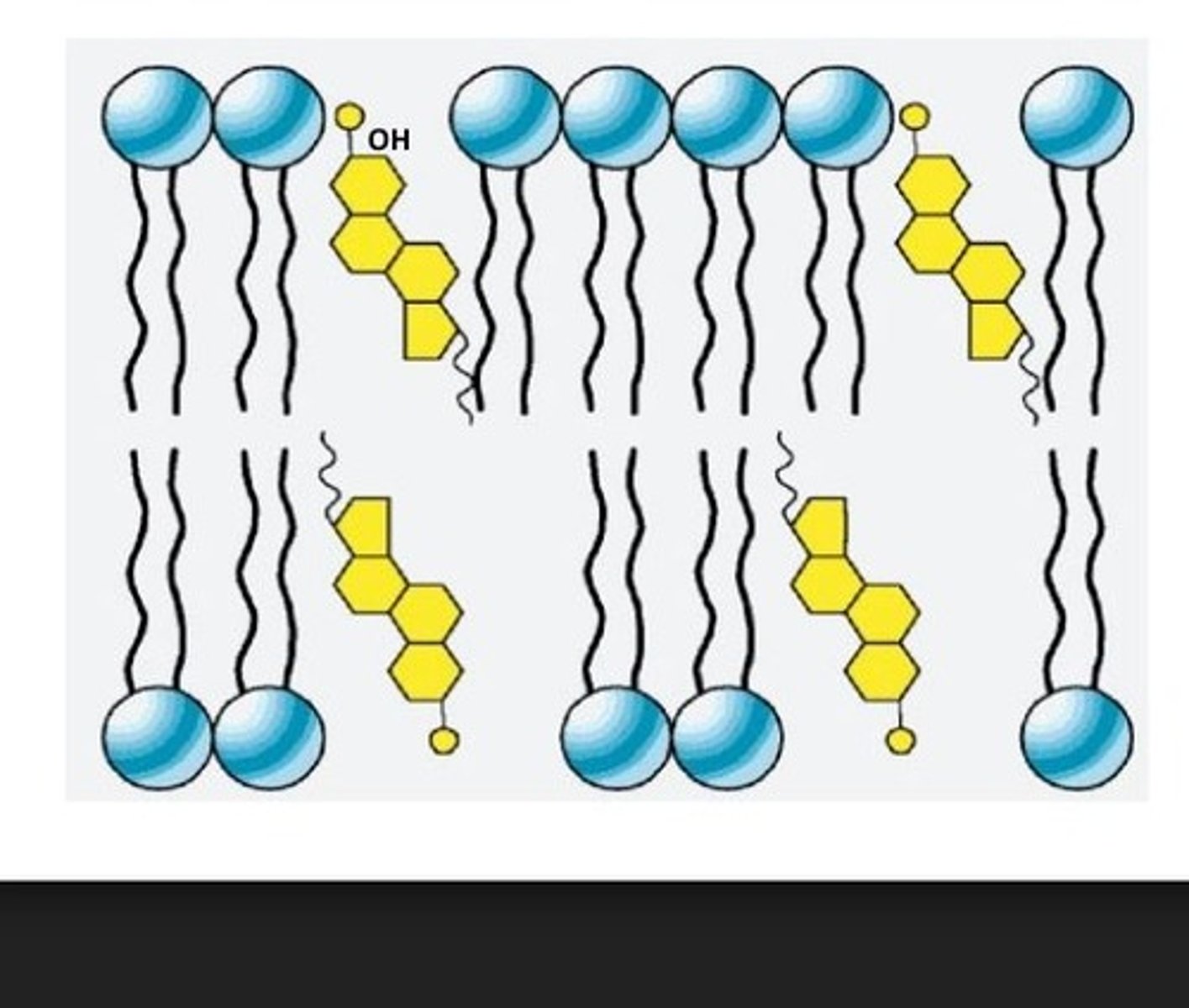 <p>Nonpolar</p>