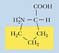<p>Name (Abbr.) - polarity, a/n/b</p>
