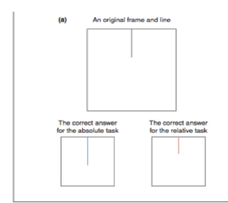 <p>Culture and analytic v. holistic thought (Kitayama et al.,2003)</p>