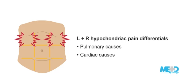 <p>On the left and right of the epigastric region; <strong><mark data-color="red" style="background-color: red; color: inherit"><u>superior to the lumbar regions.</u></mark></strong></p>