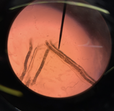 What is this?