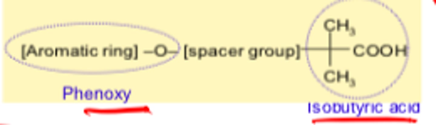 <p>phenoxy, spacer group, isobutyric acid</p><p>Compounds containing esters are prodrugs</p>