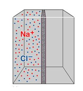 <p>Assuming the membrane has ion channels, what will happen?</p>