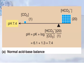 <p>Expresses acid-base balance relationship and relates pH to the dissociation properties of weak acids.</p>