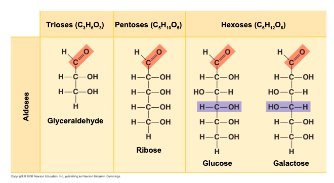 <p>how are monosaccharides classified by?</p>