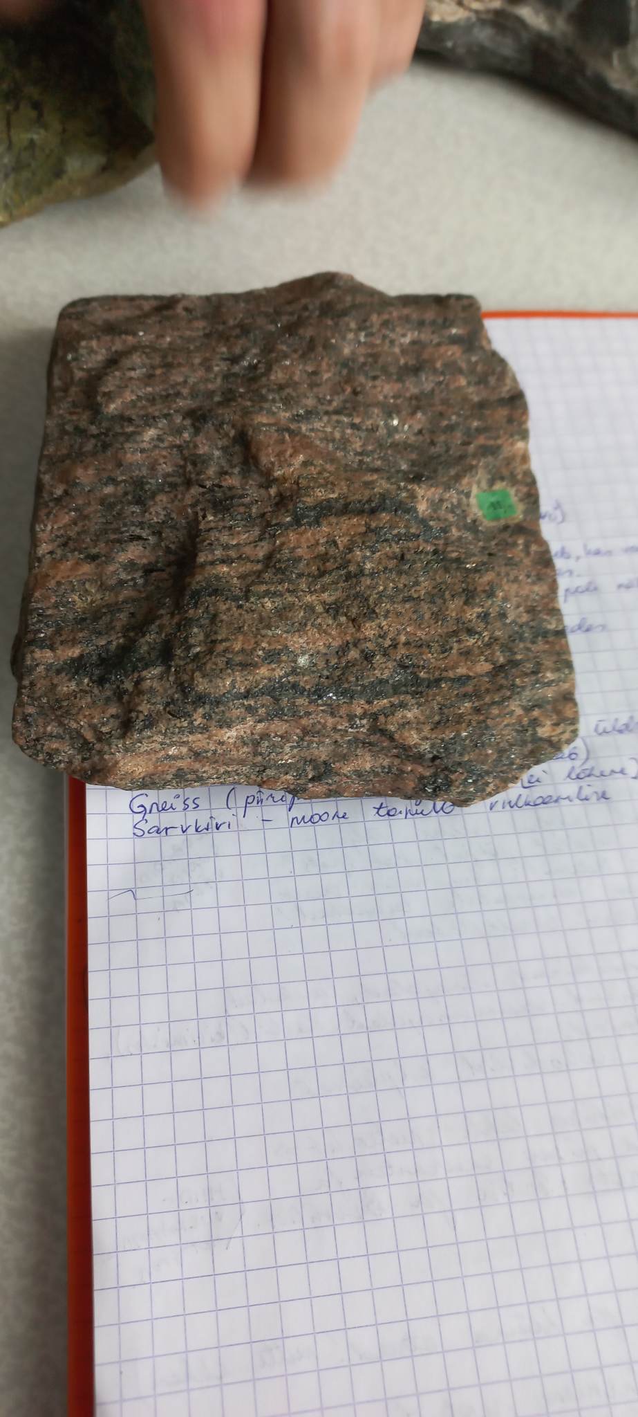 knowt flashcard image