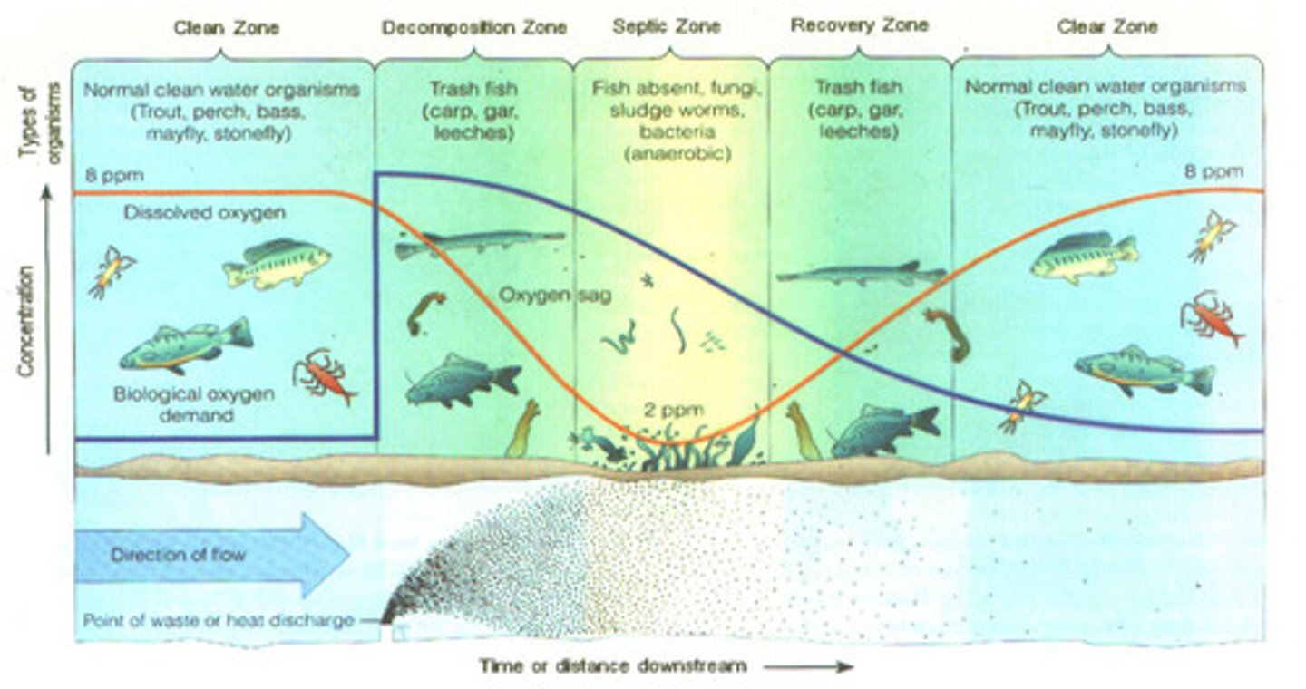 <p>amount of dissolved oxygen needed by aerobic decomposers to break down organic materials</p>