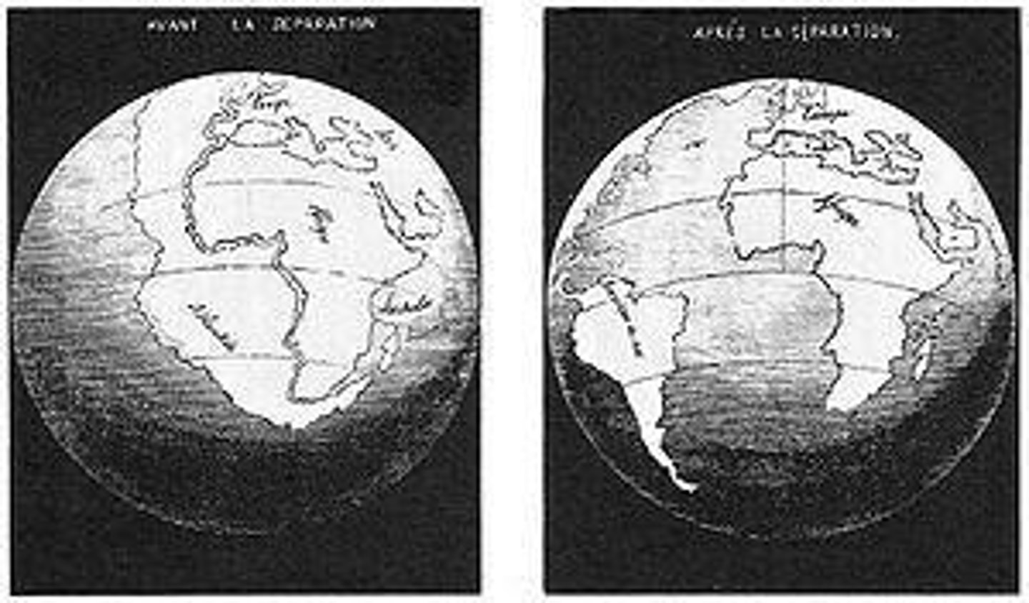 <p>Theory proposing continents move over time.</p>
