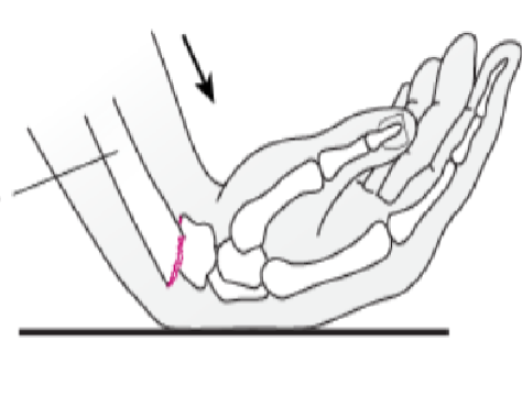 <p>What is this?</p>